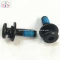 Bolt/Hexagonal Socket Bolt with Washers